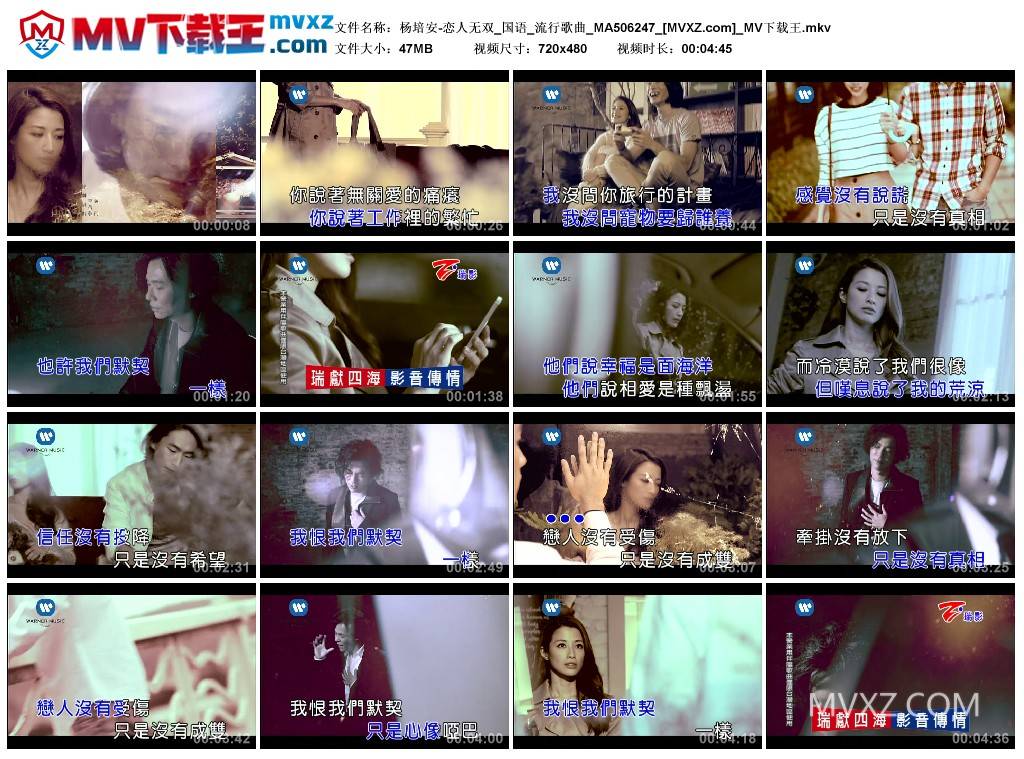 杨培安-恋人无双_国语_流行歌曲_MA506247